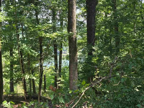 Lot 231 & 232 Medinah, Hot Springs, AR 71913