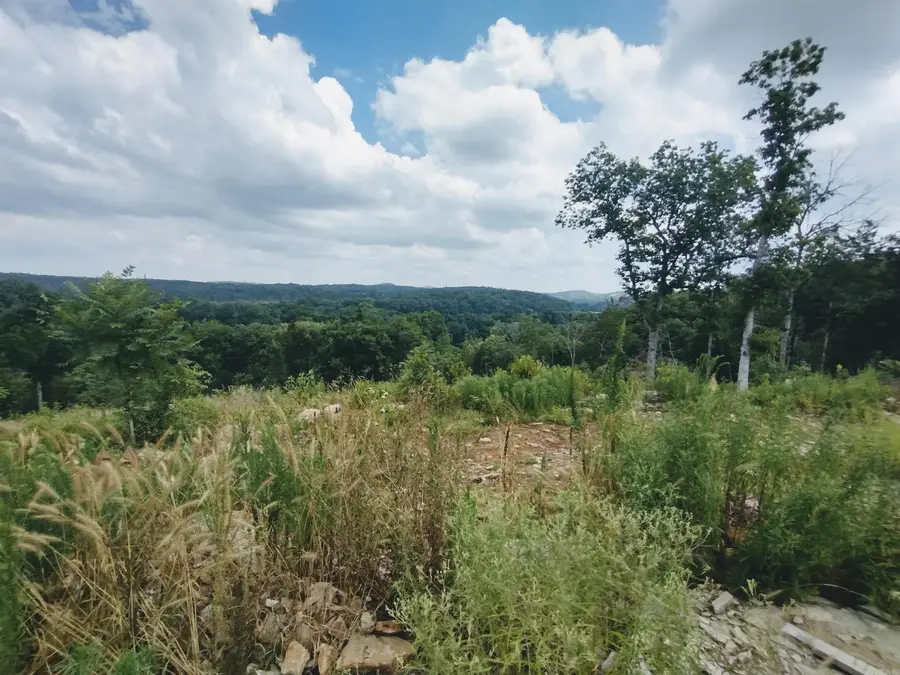 0 Ridge Top Rd, Melbourne, AR 72556 - #3