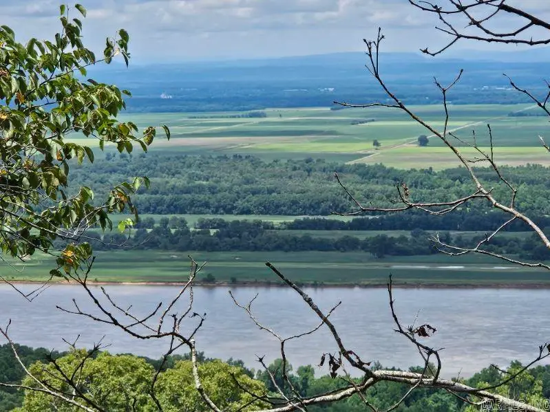 160 Acres America Road, Morrilton, AR 72110 - #1
