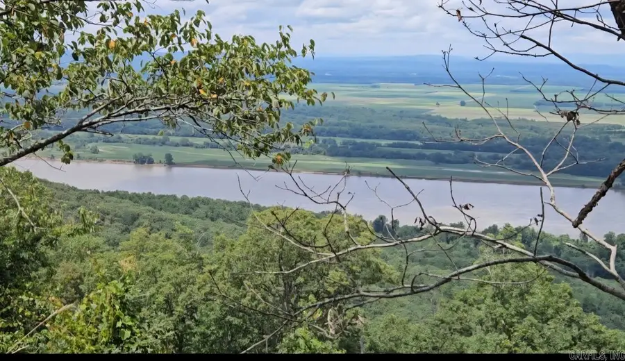 160 Acres America Road, Morrilton, AR 72110 - #2