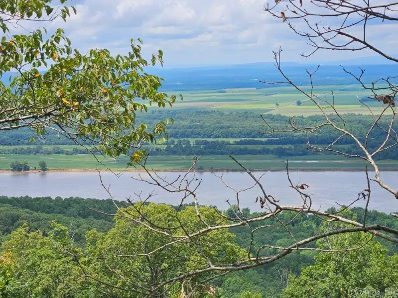 160 Acres America Road, Morrilton, AR 72110 - #3