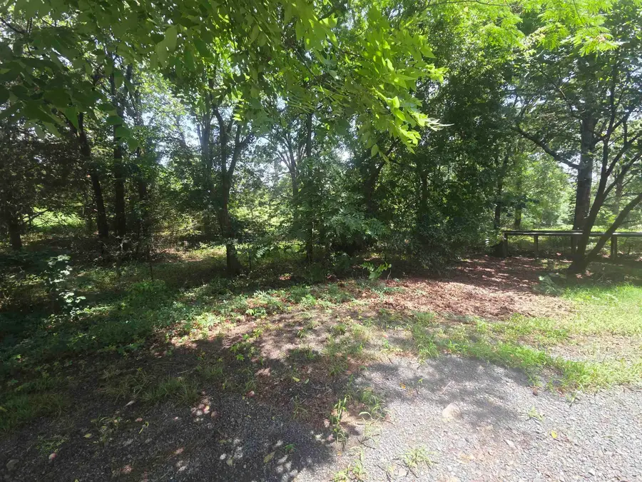 420 Polk Road 36, Hatfield, AR 71945 - #3