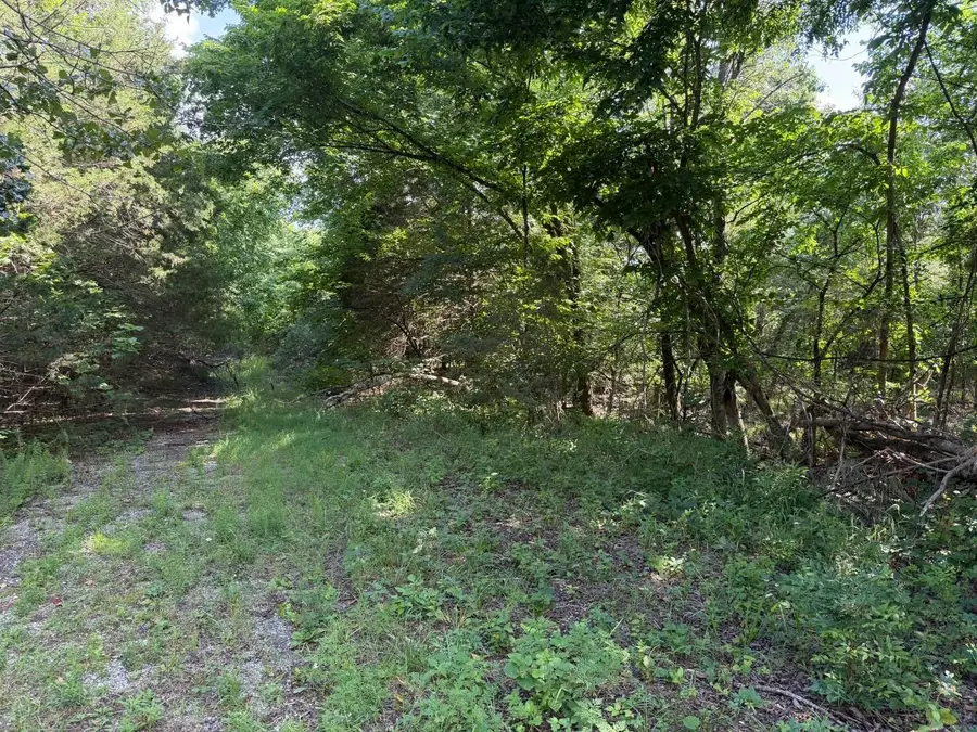 501 Spoon Drive, Horseshoe Bend, AR 72512 - #2