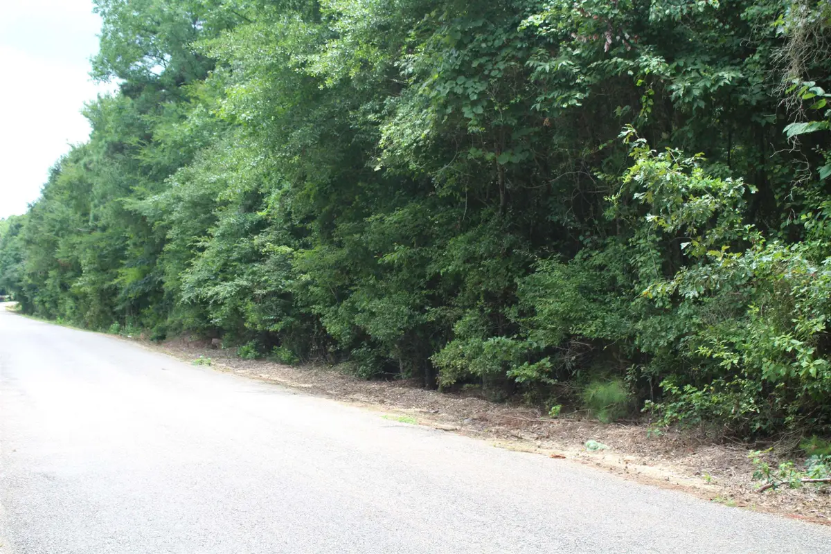 Cornbridge Road, Nashville, AR 71852 - #1