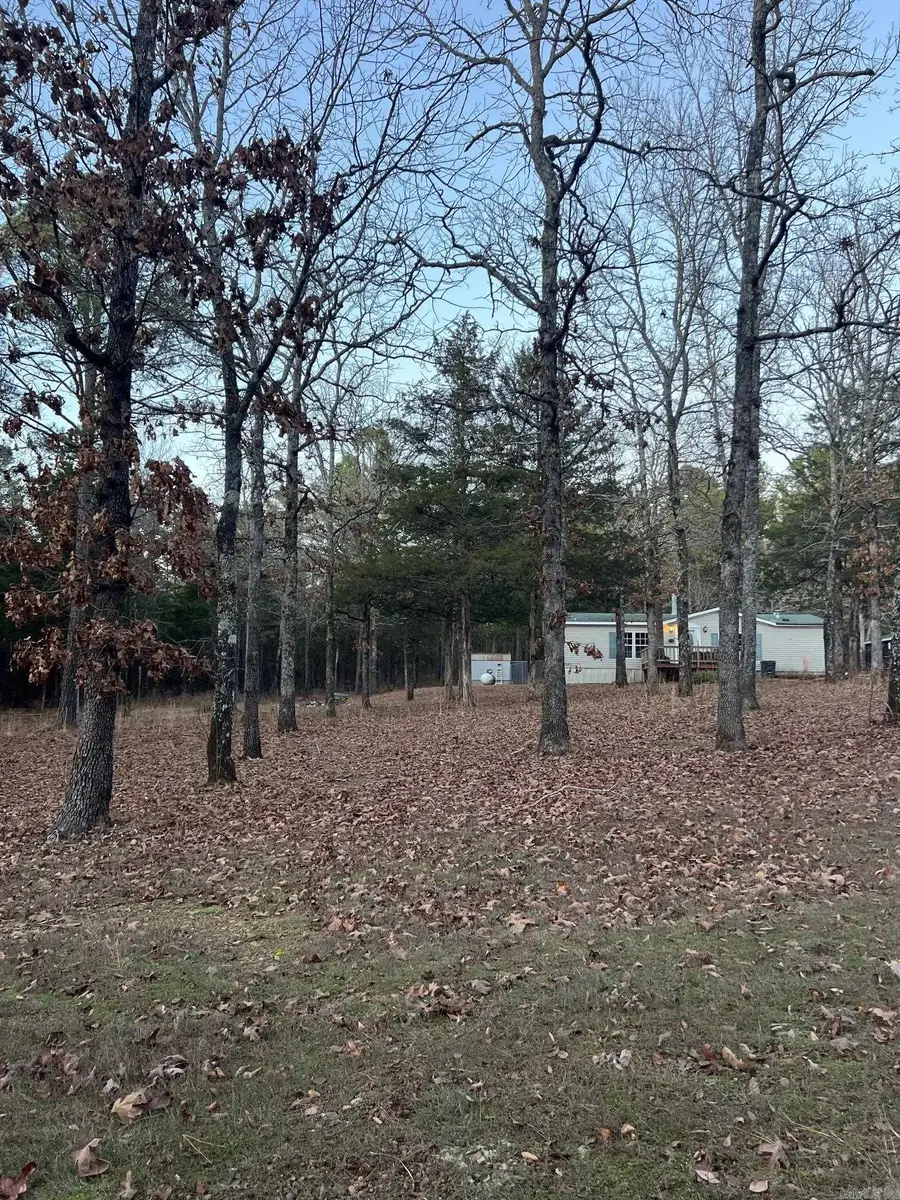 351 Grady, Shirley, AR 72153 - #2