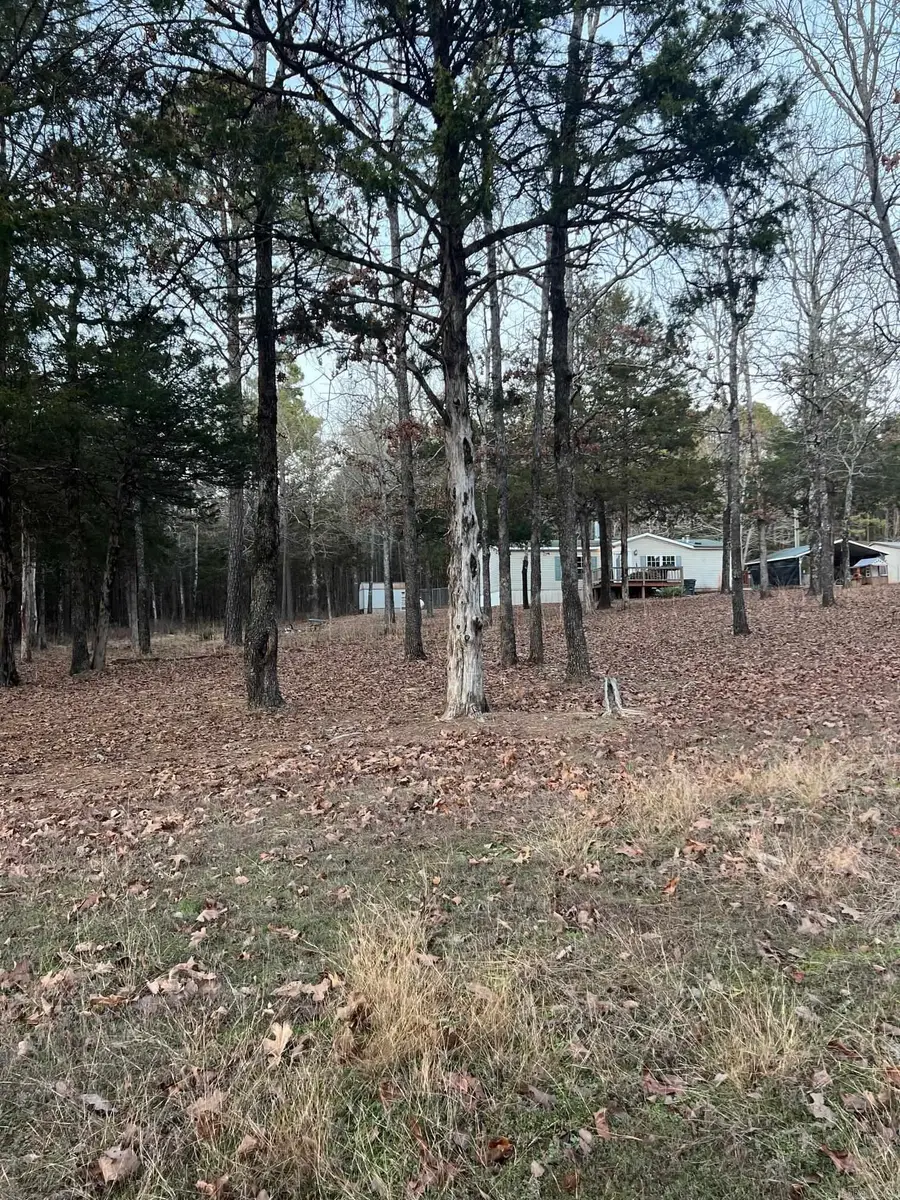 351 Grady, Shirley, AR 72153 - #3