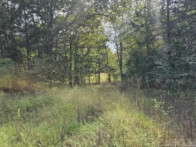 16-20 Fox Run Lane, Greenbrier, AR 72058 - #2