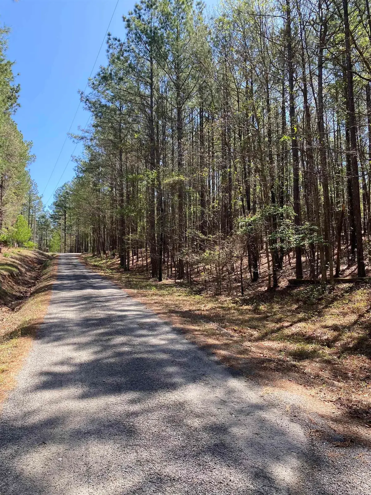 87 Woodland Springs Road, Mount Ida, AR 71957 - #1