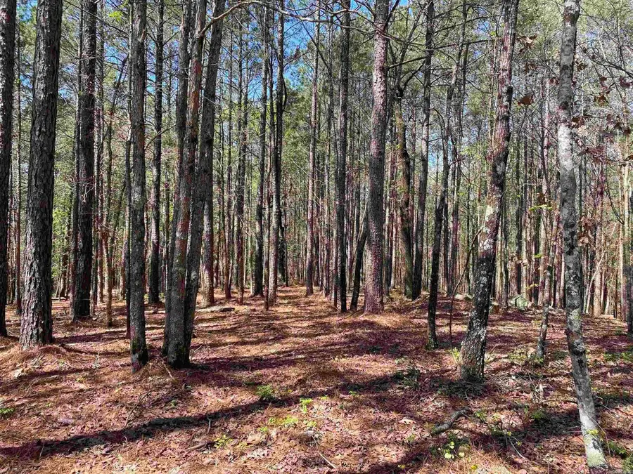 87 Woodland Springs Road, Mount Ida, AR 71957 - #2