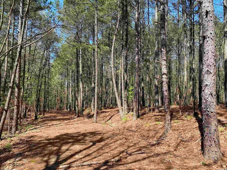87 Woodland Springs Road, Mount Ida, AR 71957 - #3