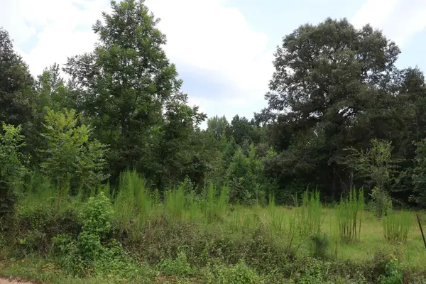 Priaire Chapel Road, Fountain Hill, AR 71642