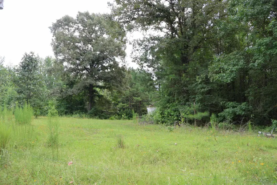 Priaire Chapel Road, Fountain Hill, AR 71642 - #2