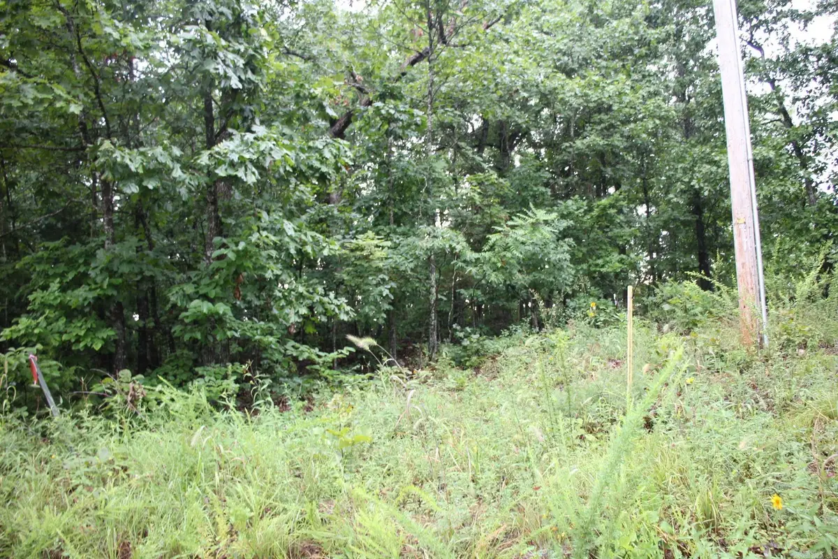 Address Withheld By Seller, Mountain Home, AR 72653 - #1