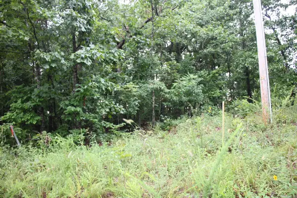 Address Withheld By Seller, Mountain Home, AR 72653