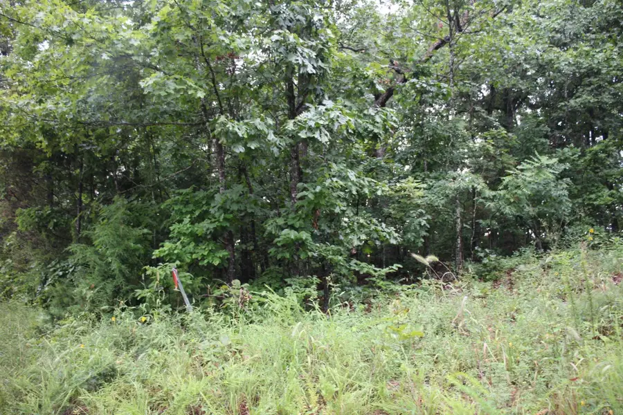 Address Withheld By Seller, Mountain Home, AR 72653 - #2