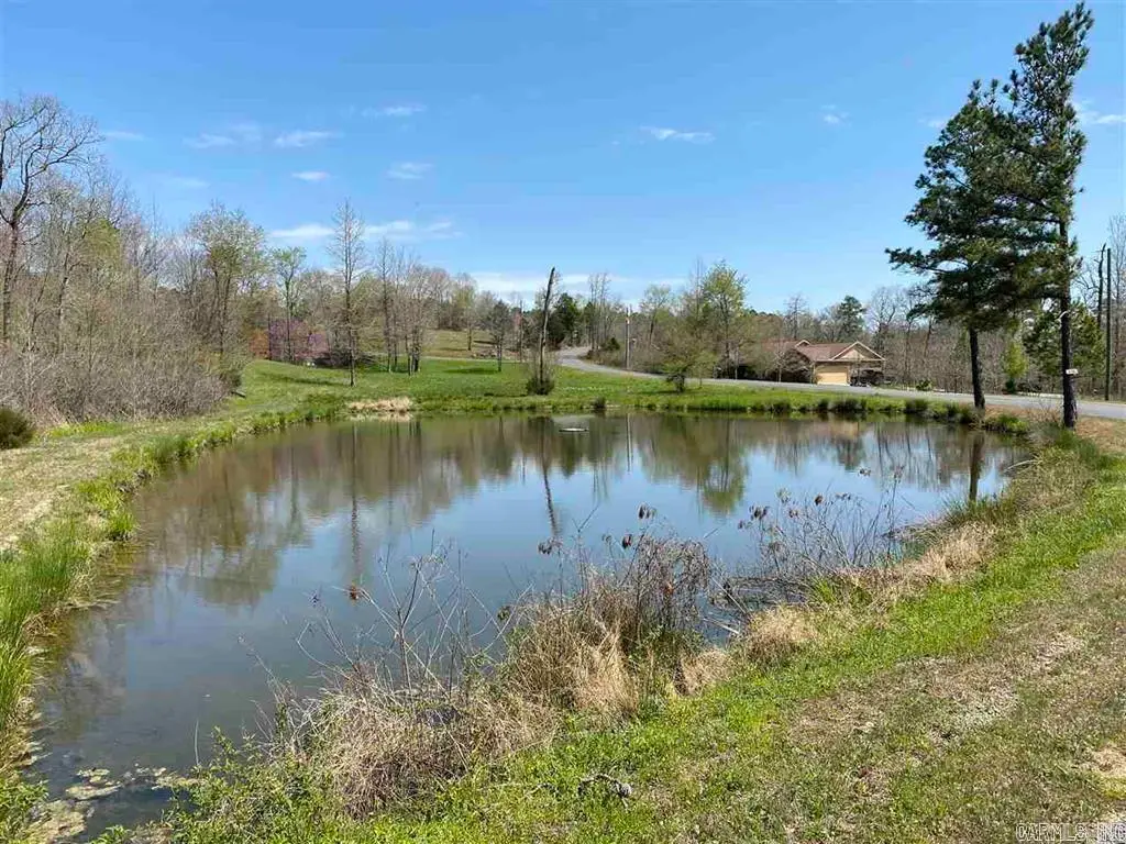 200 Natural Place, Royal, AR 71968 - #1