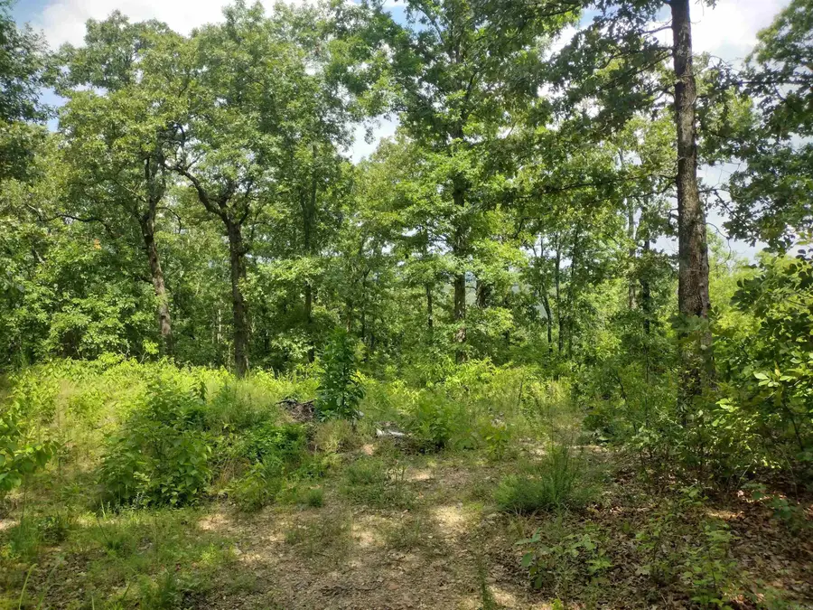 310 Peaceful Peak Ln, Melbourne, AR 72560 - #3