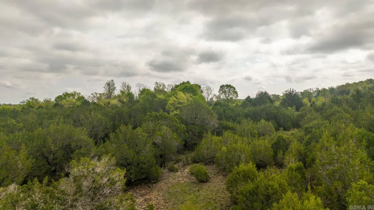 Tract 6 Litte Woods Road, Elizabeth, AR 72531 - #1