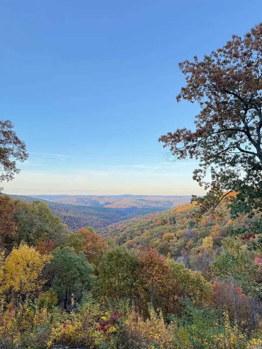 5800 White Oak Mountain Road, Hector, AR 72843 - #3
