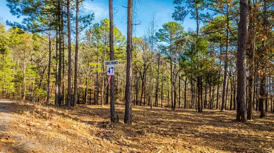 000 Miller Point (lot 47) Drive, Center Post, AR 72067 - #3