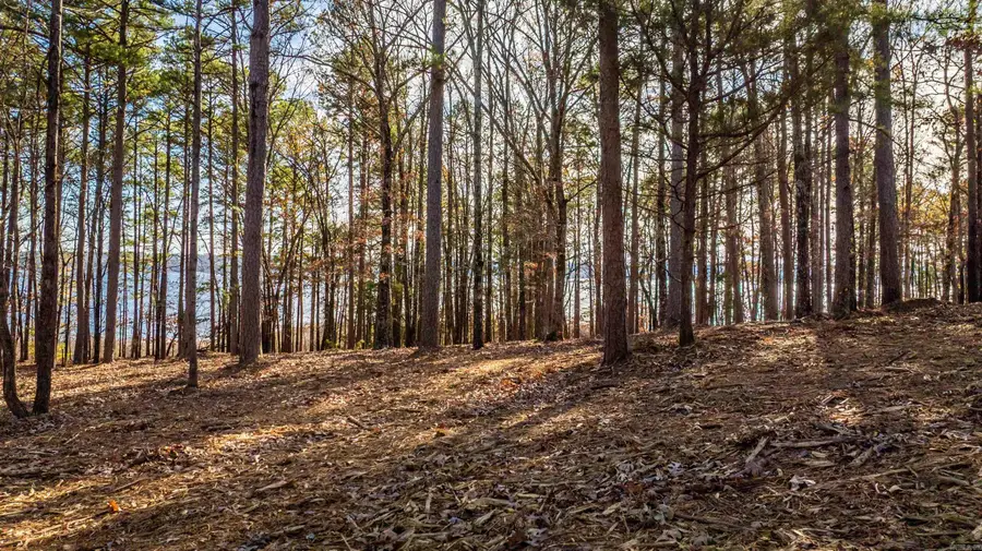 000 Miller Point (lot 46) Drive, Center Post, AR 72067 - #2