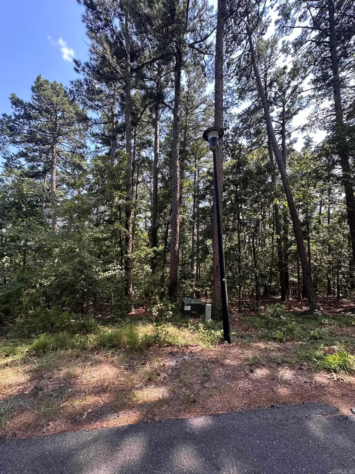 37 Derecho Way, Hot Springs Village, AR 71909 - #1