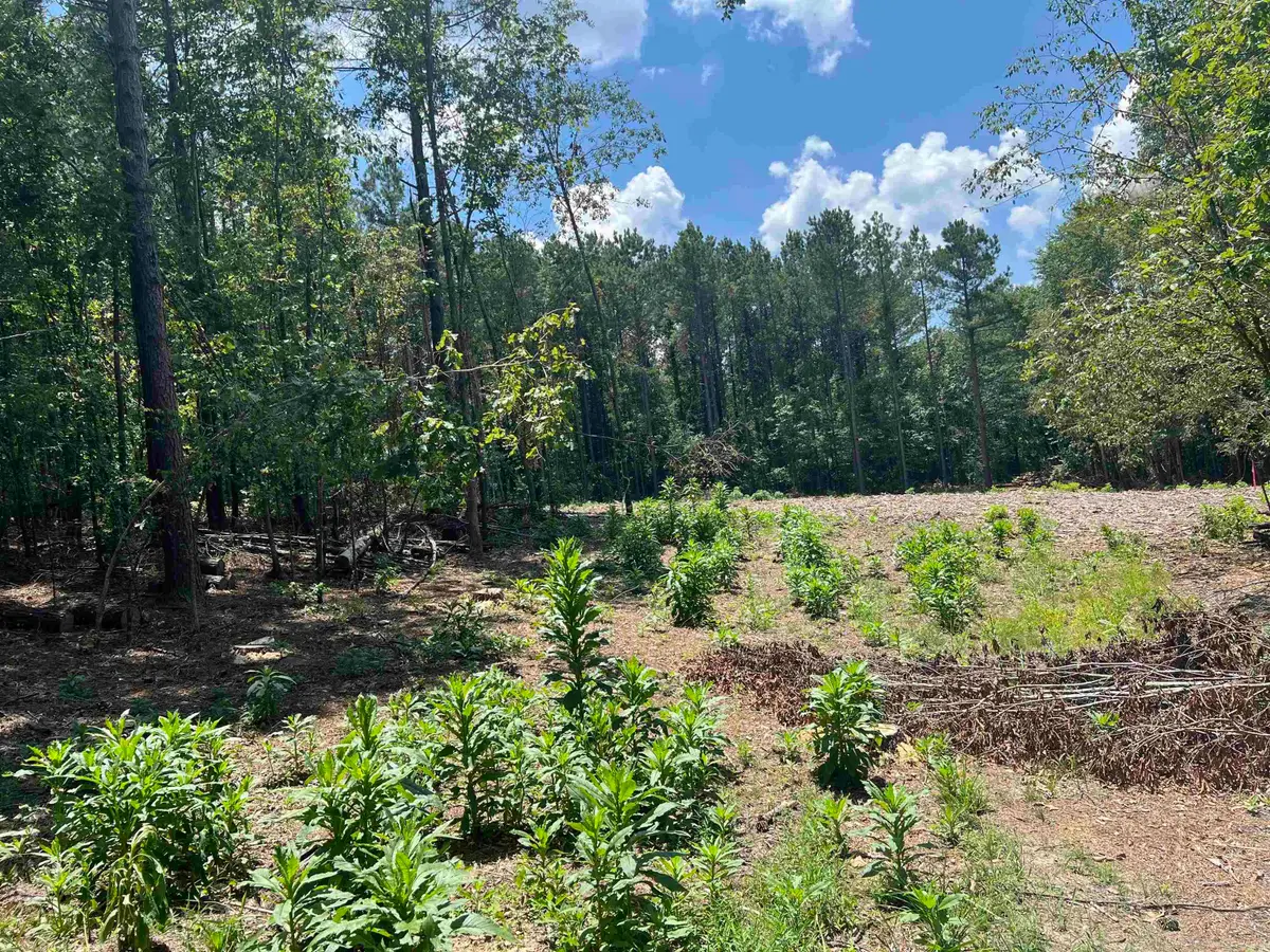 9 Casey Lane, Glenwood, AR 71943 - #1