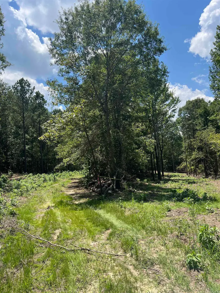 9 Casey Lane, Glenwood, AR 71943 - #3