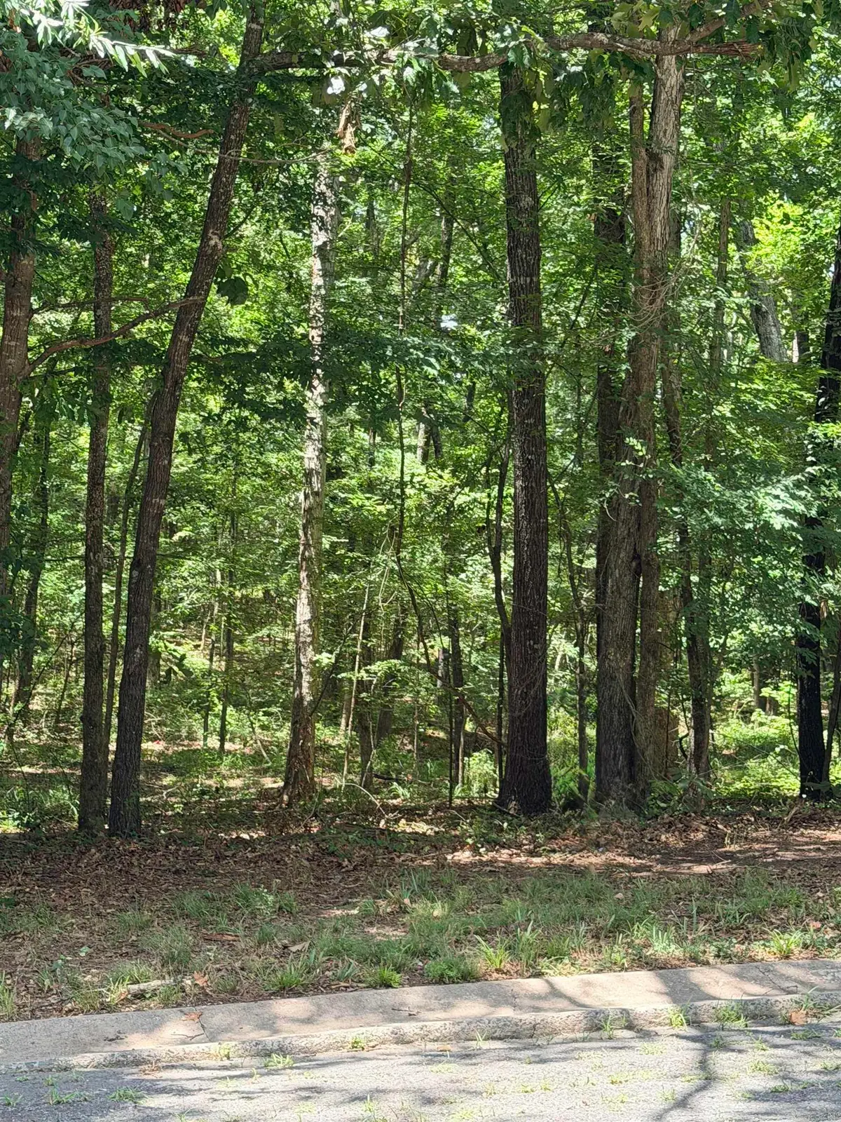 Address Withheld By Seller, White Hall, AR 71602 - #1