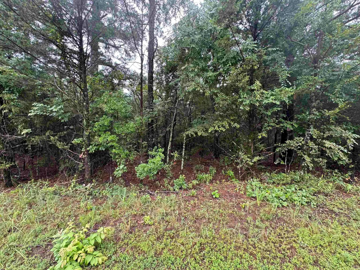 000 Mitchell Road, Booneville, AR 72927 - #1