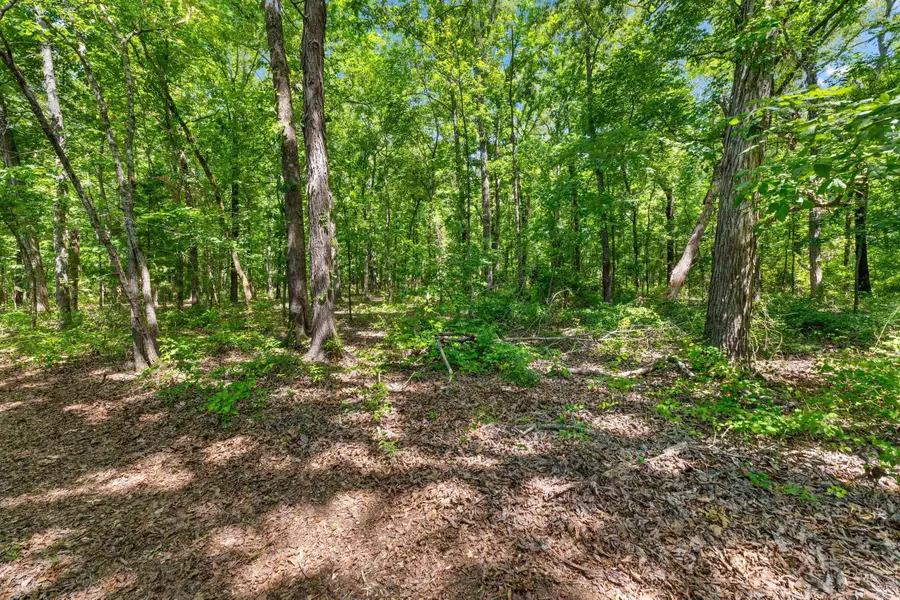 TBD Pleasant Valley Road, Greenbrier, AR 72058 - #3
