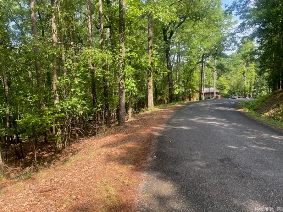 11 Southridge Drive, Mount Ida, AR 71957 - #2