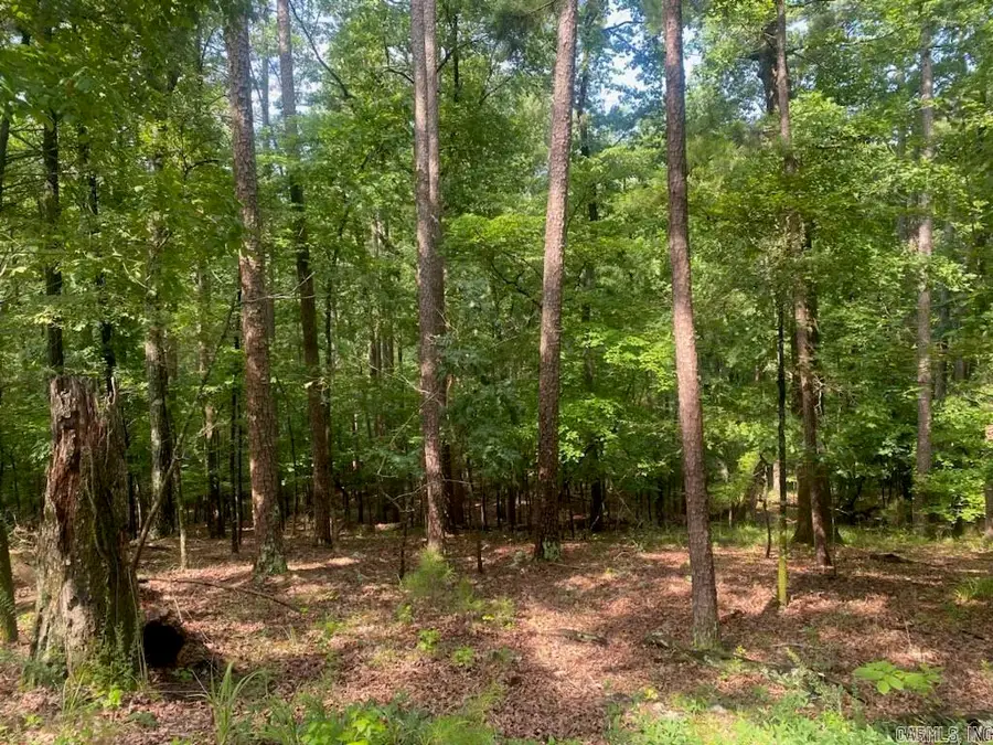 11 Southridge Drive, Mount Ida, AR 71957 - #3