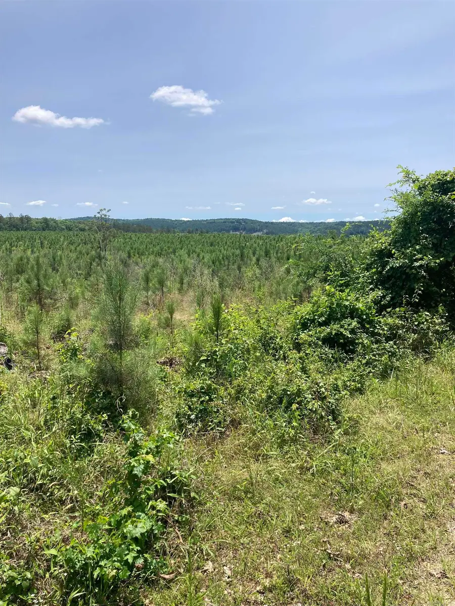 1405 BLOCK OF Beaudry Circle, Jessieville, AR 71949 - #3