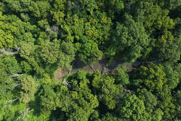 Address Withheld By Seller, De Valls Bluff, AR 72041