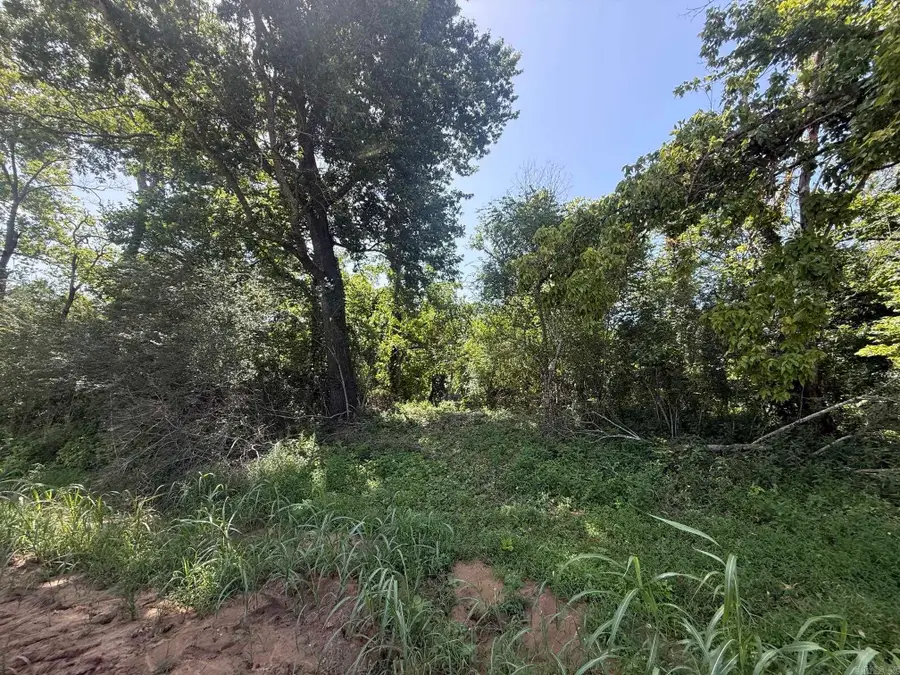 Lot 35 Up River, Heber Springs, AR 72543 - #3