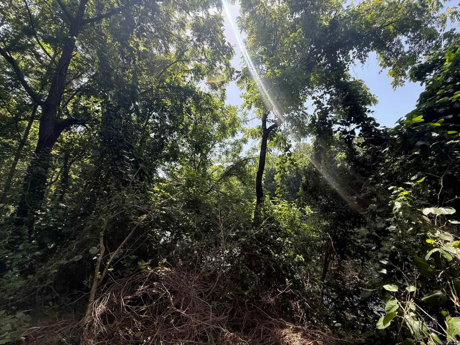 Lot 38 Up River, Heber Springs, AR 72543 - #3