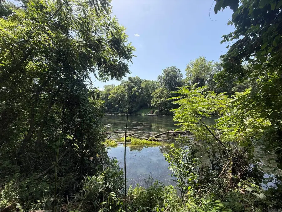 Lot 39 Up River, Heber Springs, AR 72543 - #3