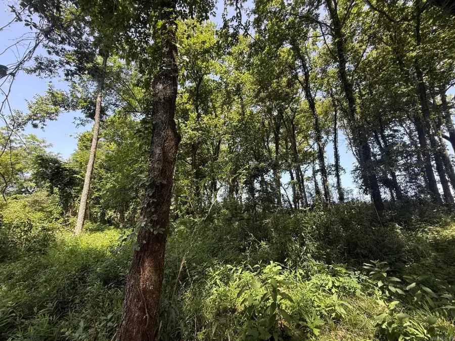 Lot 40 Up River, Heber Springs, AR 72543 - #3