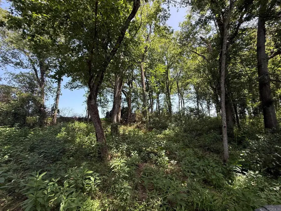 Lot 41 Up River, Heber Springs, AR 72543 - #2