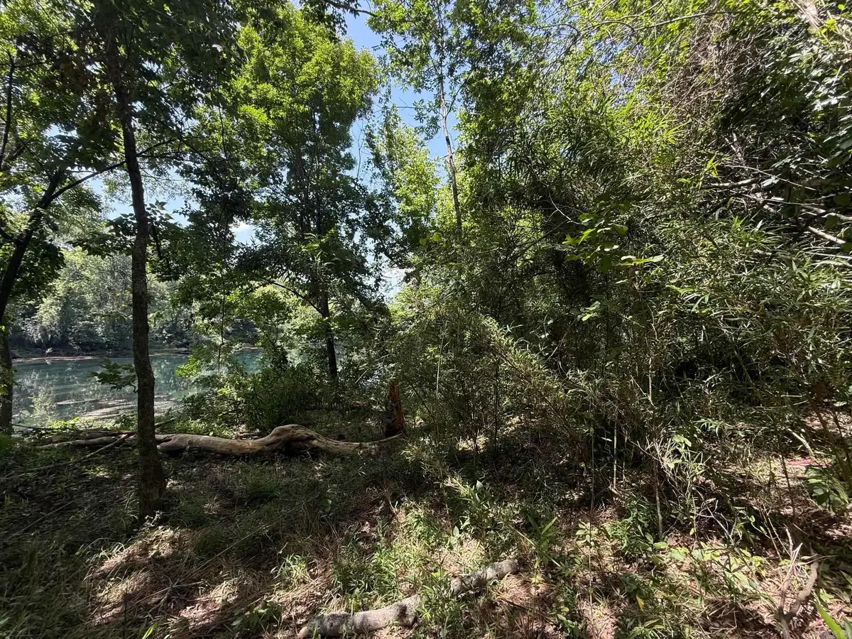Lot 43 Up River, Heber Springs, AR 72543 - #1