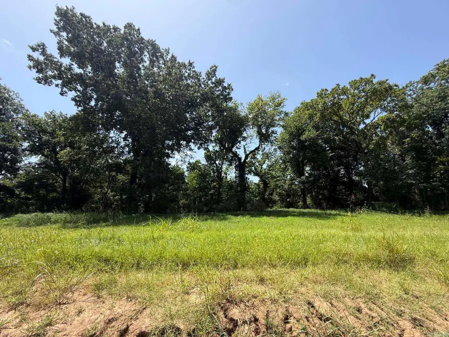 Lot 43 Up River, Heber Springs, AR 72543 - #3