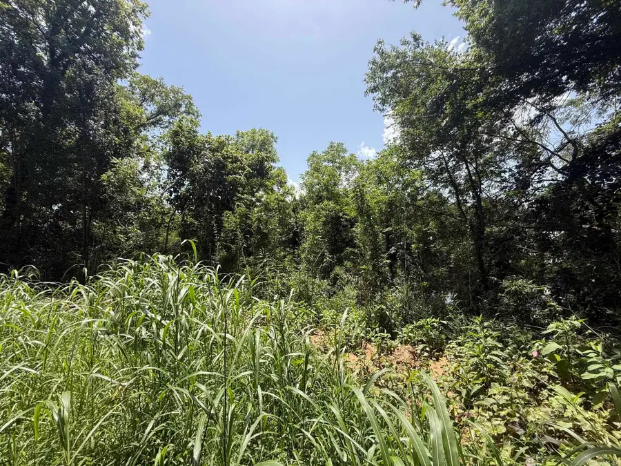 Lot 49 Down River, Heber Springs, AR 72543 - #2