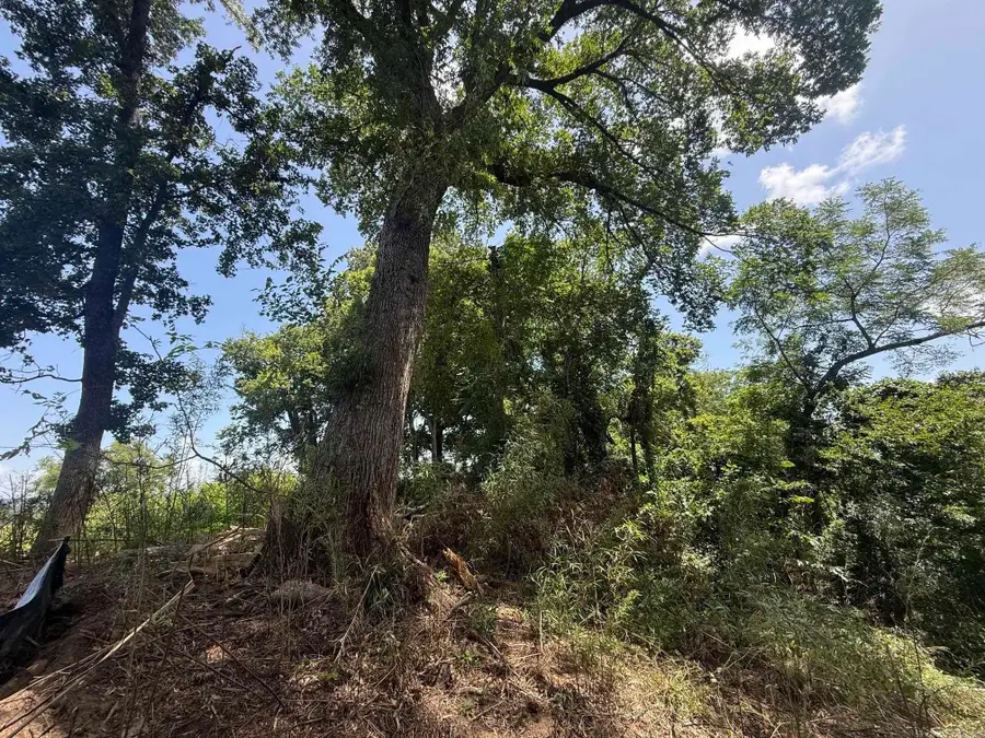 Lot 50 Down River, Heber Springs, AR 72543 - #3