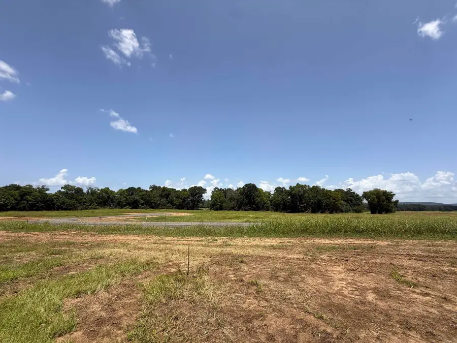 Lot 62 Down River, Heber Springs, AR 72543 - #2
