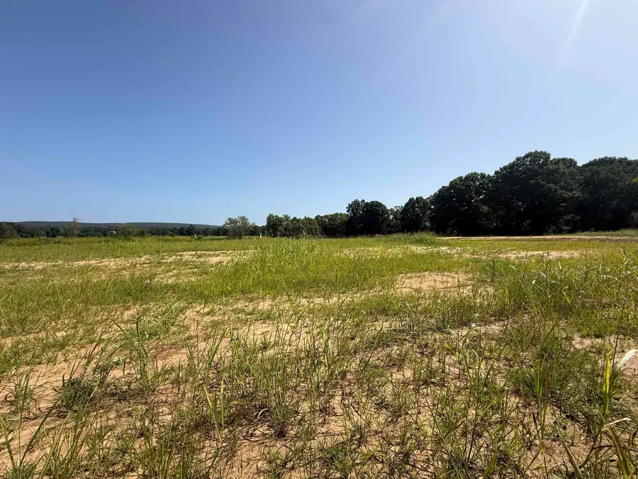 Lot 16 River Drift, Heber Springs, AR 72543 - #3