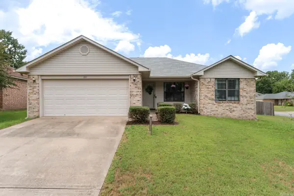 295 Niagra Falls, Conway, AR 72032