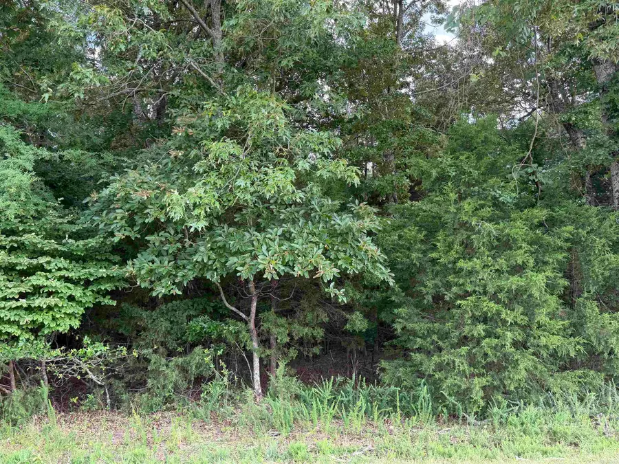 Tract 6 Cr 58, Mountain Home, AR 72653 - #3