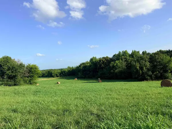 TBD Polk Rd 301, Mena, AR 71953