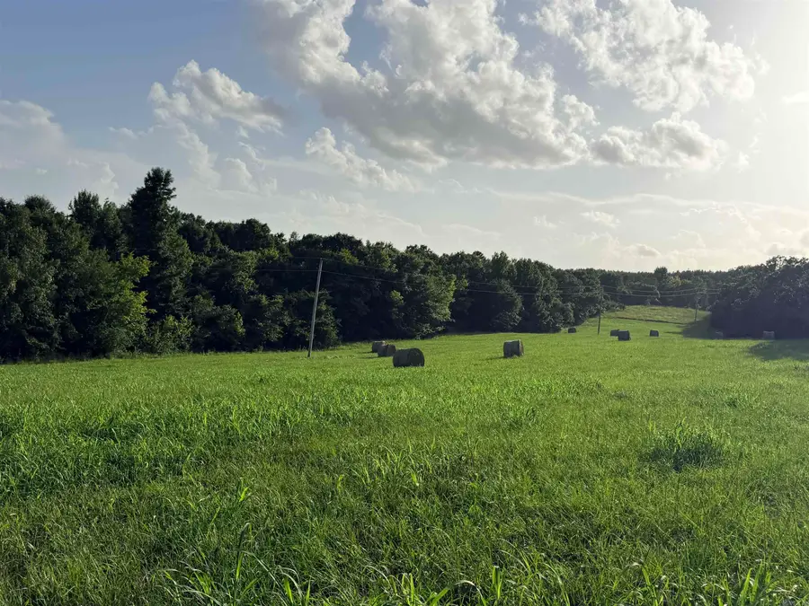 TBD Polk Rd 301, Mena, AR 71953 - #2